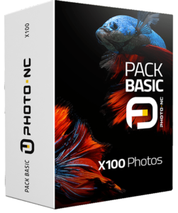 Pack Basic 100